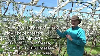 Update from Dr Greg Lang on 10 year old cherry trial under automatic retractable orchard cover, May