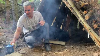 Building a shelter with logs in the forest