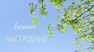 Весеннее НАСТРОЕНИЕ (ВДОХНОВЕНИЕ)