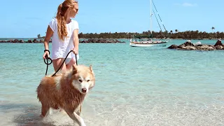 WIND AND CURRENT- Cruising the Intracoastal Waterway to PEANUT ISLAND in West Palm Beach FL(Ep. 52)