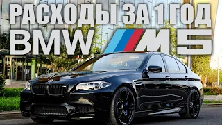 BMW M5 F10 365 дней удовольствия и вложений!