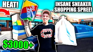 My Most Expensive Sneaker Shopping Spree EVER!! ($3000+ in RARE shoes!)