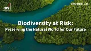 Biodiversity at Risk | Preserving the Natural World for Our Future | AXA Research Fund