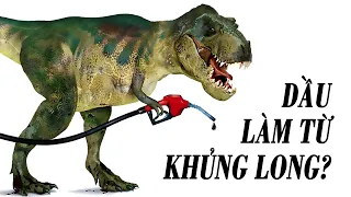 #614 Dầu Mỏ Làm Từ Khủng Long & 5 Sự Thật Sai Lầm Mọi Người Vẫn Tin!