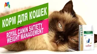 Корм для кошек Royal Canin Satiety Weight Management | Обзор корм для кошек Royal Canin Satiety