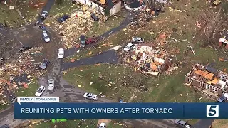 Warren County Humane Society houses pets for tornado victims