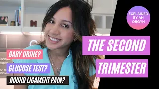 The Second Trimester | Explained by an OBGYN