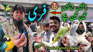 Exotic Parrots and Rare Birds Market 2024 Latest Video in Urdu Hindi | Lalukhet exotic birds market