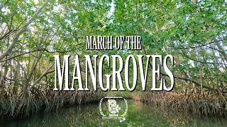 March of the Mangroves