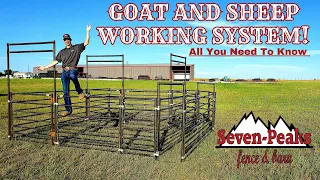 Goat and Sheep Handling System | Seven Peaks Fence And Barn