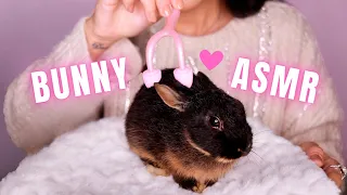 ASMR CUTE BUNNY SPA TREATMENT