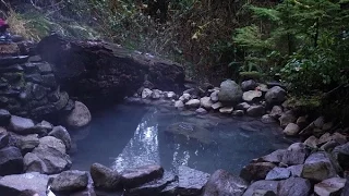 Cougar Terwilliger Hot Springs - Oregon Cascades