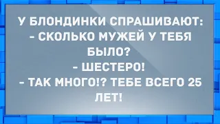 Сколько мужей у тебя было? Анекдоты.