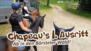 Chapeau's erster Ausritt - Geländetraining mit neuem Pferd im Börsteler Wald