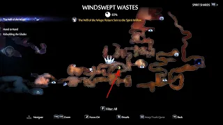 Windswept Wastes Life Cell fragment | Ori and the Will of the Wisps