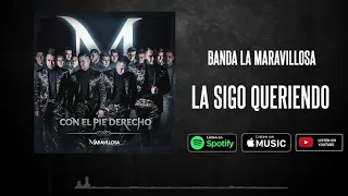 La Sigo Queriendo (Inédita) | Banda La Maravillosa