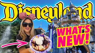 Disneyland Summer Fun! NEW Treat+ Tons of New Merch {Disney Tees, Haunted Mansion, Halloween & more}