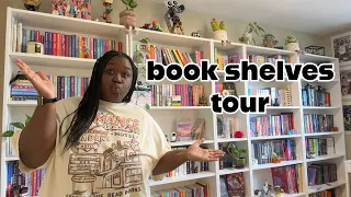 my home library tour 📚