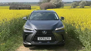 Lexus NX POV