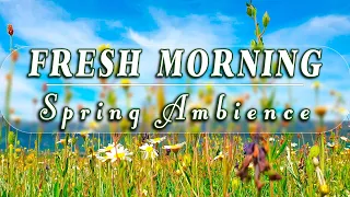 🌿🌞FRESH MORNING AMBIENCE 🌞 Begin your Day with the Positive Energy of Healing SPRING Sounds#3