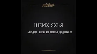 Шейх Яхья / 1елам нах / Кунта-Хаджи