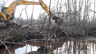 Beavers didn't expect us to get to this dam