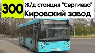 Автобус 300 "Железнодорожная станция "Сергиево" - Кировский завод" МАЗ-203.047 б/н 5122