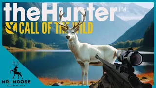 My FIRST ALBINO is a RED DEER ?! | theHunter: Call of the Wild