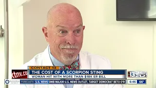 True cost of recovering from scorpion sting