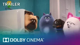 The Secret Life of Pets 2 - Trailer | Dolby Cinema | Dolby