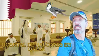Hospital de Halcones en Doha, Qatar / Doha, Qatar Falcon Hospital