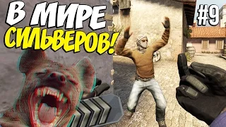 В МИРЕ СИЛЬВЕРОВ #9 | CS:GO