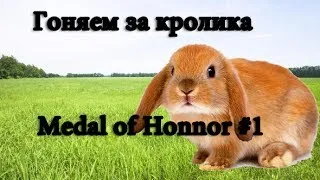Гоняем за кролика; Medal of Honor #1
