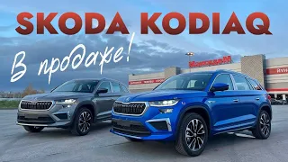 SKODA KODIAQ из КИТАЯ в ПРОДАЖЕ!