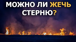 Можно ли жечь стерню? / Штрафы за поджог травы 2021/Весенний пал #6