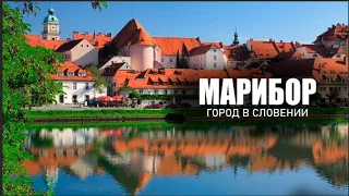 Уютная Словения и город Марибор. В Словению хочется вернутся.