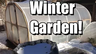 Top 6 Tips for Your First Winter Vegetable Garden! ❄️❄️❄️