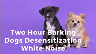 Large Barking Dogs Desensitization White Noise for Dogs