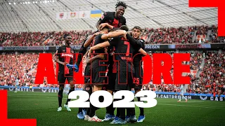 Alle Tore von Bayer 04 im Jahr 2023: Bundesliga, Europa League und DFB-Pokal