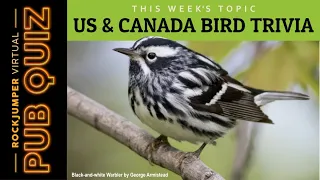 01 - Virtual Pub Quiz: US & Canada Bird Trivia