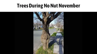 No Nut November Slander 3