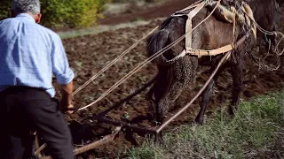 Fshati shqiptar që ka gjithçka dhe nuk ka asgjë - Shqipëria Tjetër