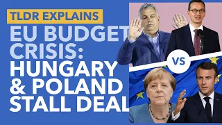 The EU's Budget Standoff Explained: Why Poland and Hungary Refuse EU Budget Plans - TLDR News