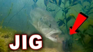 Bed Fishing Tricks With Amazing Underwater Footage!