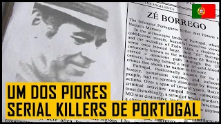 ZÉ BORREGO, O LOBO EM PELE DE CORDEIRO