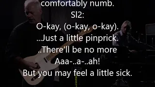 Comfortably numb, Pink Floyd, backing track without guitar solo, karaoke lyrics