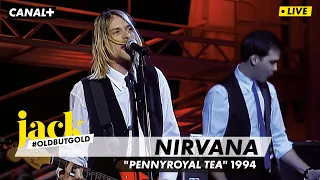 Nirvana – Pennyroyal Tea | Nulle Part Ailleurs 1994