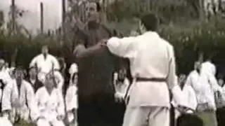 Steven Seagal Aikido 2