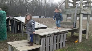 Baby goats go outside for the first time (2018)