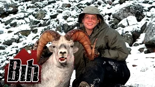 Hunting Old School: Majestic Northern BC Stone Sheep and Goat